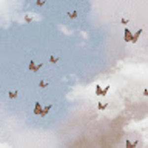 Meet your Posher, Helen